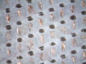 Glasweefselslangen met ePTFE-membraan