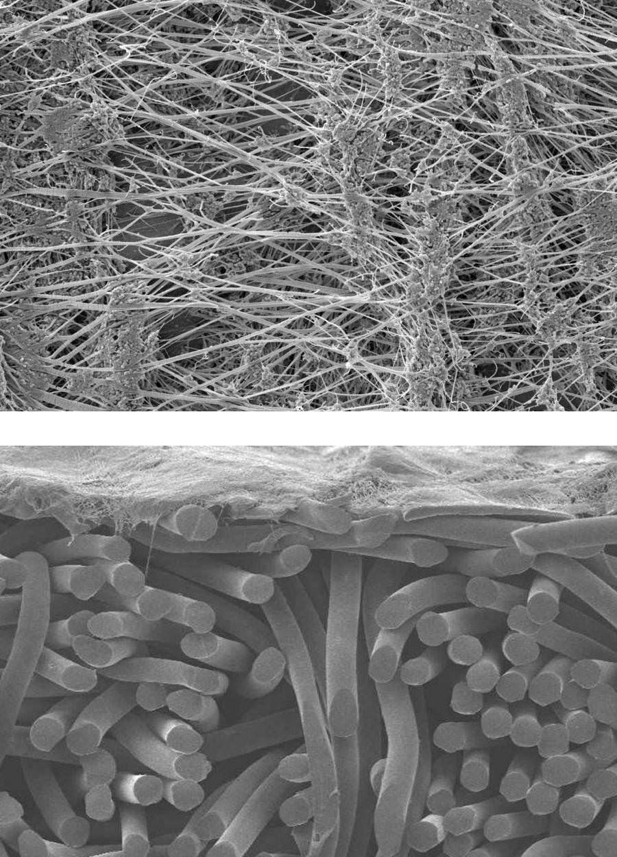 ePTFE-Membrane