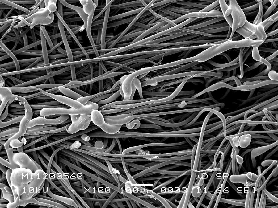 SMP-Tex &ndash; super-micro pores