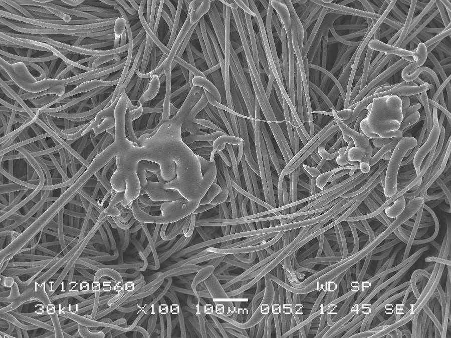 SMP-Tex &ndash; super-micro pores